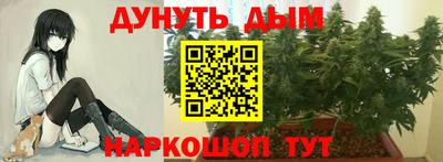 герыч Гатчина