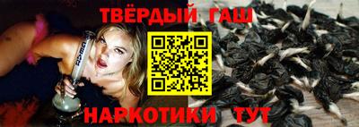 spice Гай