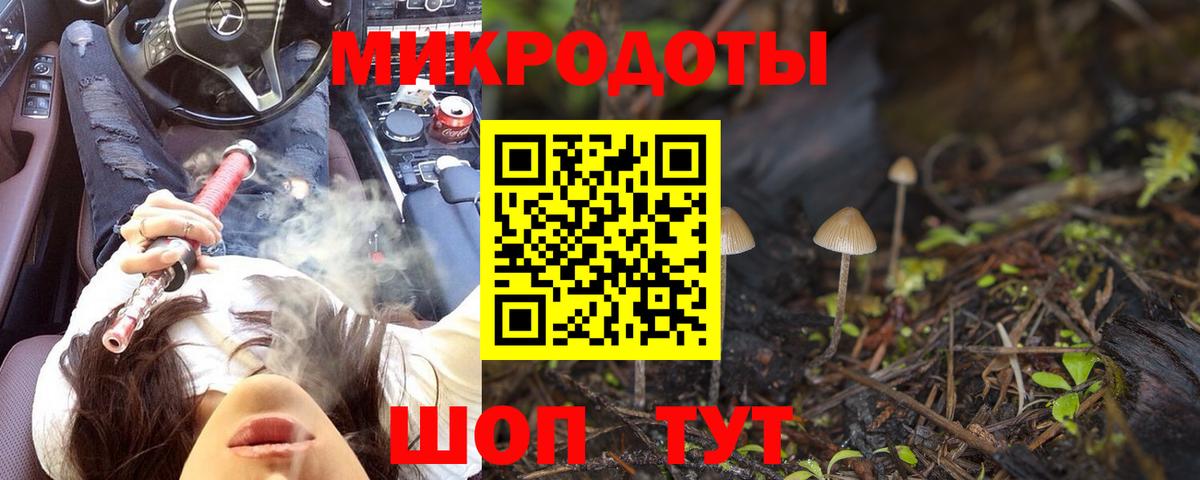 Кулебаки  Галлюциногенные грибы Psilocybe  Вход с VPN  Галлюциногенные грибы GOLDEN TEACHER 